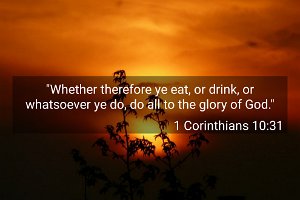 1Cor1031-KJV