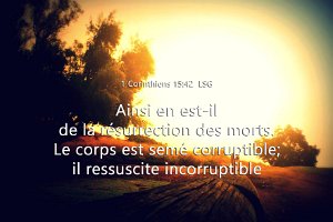 1Cor1542-LSG