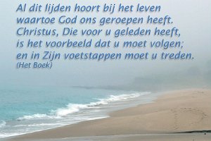 1Pet0221-Boek