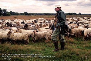 1Pet0504 : Drenthe, Heide, Herder, Schaapskudde