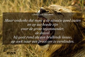 1Pet0508-Boek