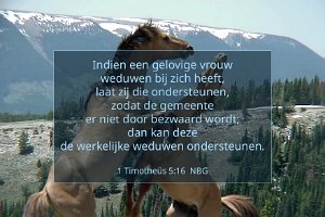 1Tim0516-NBG