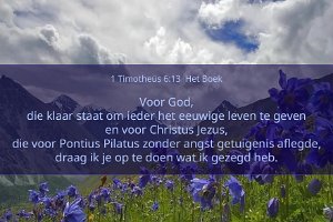 1Tim0613-Boek