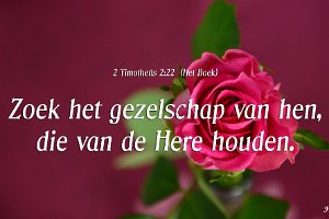 2Tim0222-Boek-04