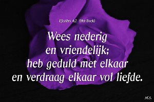 Efe 0402-Boek-01