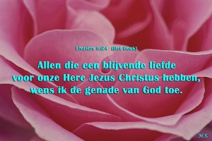 Efe 0624-Boek