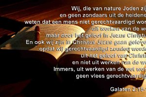 Gal 0215-Ned