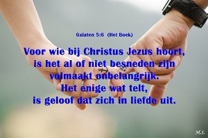 Gal 0506-Boek