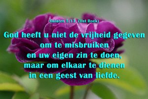 Gal 0513-Boek