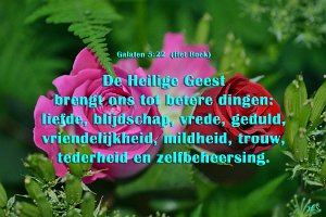 Gal 0522-Boek