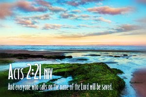 Acts0221-NIV