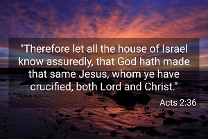 Acts0236-KJV