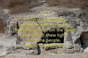 Acts2623-AV