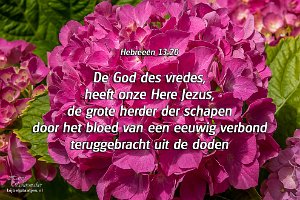 Hebr1320-Ned