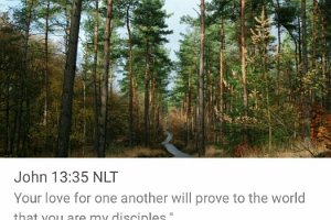 John1335-NLT-01