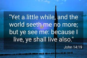 John1419-KJV