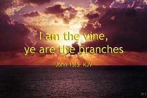 John1505-KJV-02