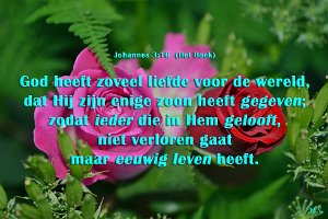 Joh 0316-Boek