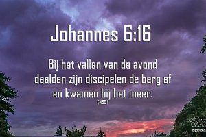 Joh 0616 Boek : Avondrood, Beverwaard, Fotograaf, NL, Rhijnauwensingel, Rotterdam, Websites, hs.fotografie@gmail.com, http://beverwaardinbeeld.nl, http://hs-fotografie.nl, http://hs-modellenfotografie.nl, http://hs-natuurfotografie.nl, http://hs-stedenfotografie.nl, http://rotterdamsebeelden.nl, © Harry Schoemaker