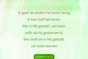 Joh 1126-Ned