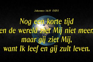 Joh 1419-NBV