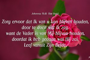 Joh 1510-Boek