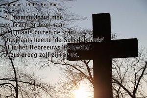 Joh 1917-Boek