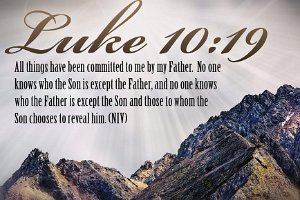 Luke1019-NIV