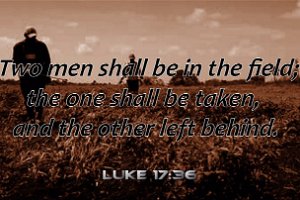 Luke1736 Eng