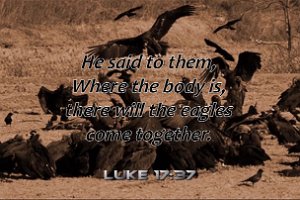 Luke1737 Eng-a