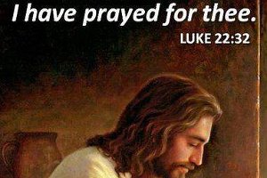 Luke2232 Eng