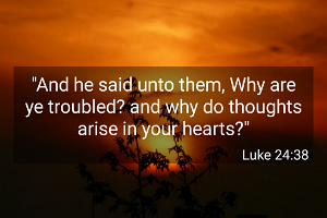 Luke2438-KJV