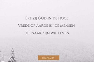 Luk 0214-Ned