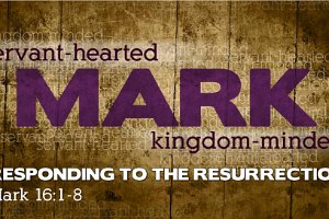 Mark1601-Eng