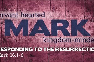 Mark1607-Eng