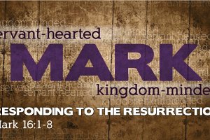 Mark1608-Eng