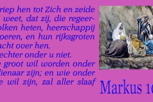 Mark1042-NBG