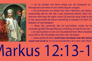 Mark1216-NBG