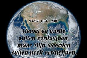 Mark1331-NBV