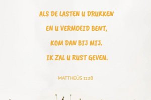 Mat 1128-Ned