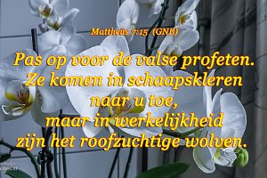 Mat 0715-GNB