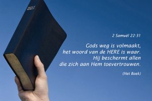 2Sam2231-Boek