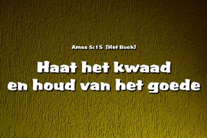 Amos0515-Boek-02