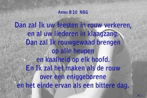 Amos0810-NBG