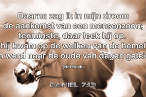 Dan 0713 Boek