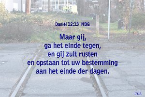 Dan 1213-NBG