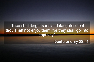 Deut2841-KJV