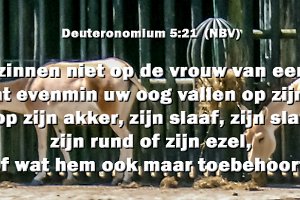 Deut0521-NBV