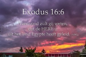 Exod1606 NBG : Avondrood, Beverwaard, Fotograaf, NL, Rhijnauwensingel, Rotterdam, Websites, hs.fotografie@gmail.com, http://beverwaardinbeeld.nl, http://hs-fotografie.nl, http://hs-modellenfotografie.nl, http://hs-natuurfotografie.nl, http://hs-stedenfotografie.nl, http://rotterdamsebeelden.nl, © Harry Schoemaker