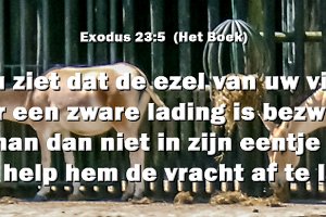 Exod2305-Boek